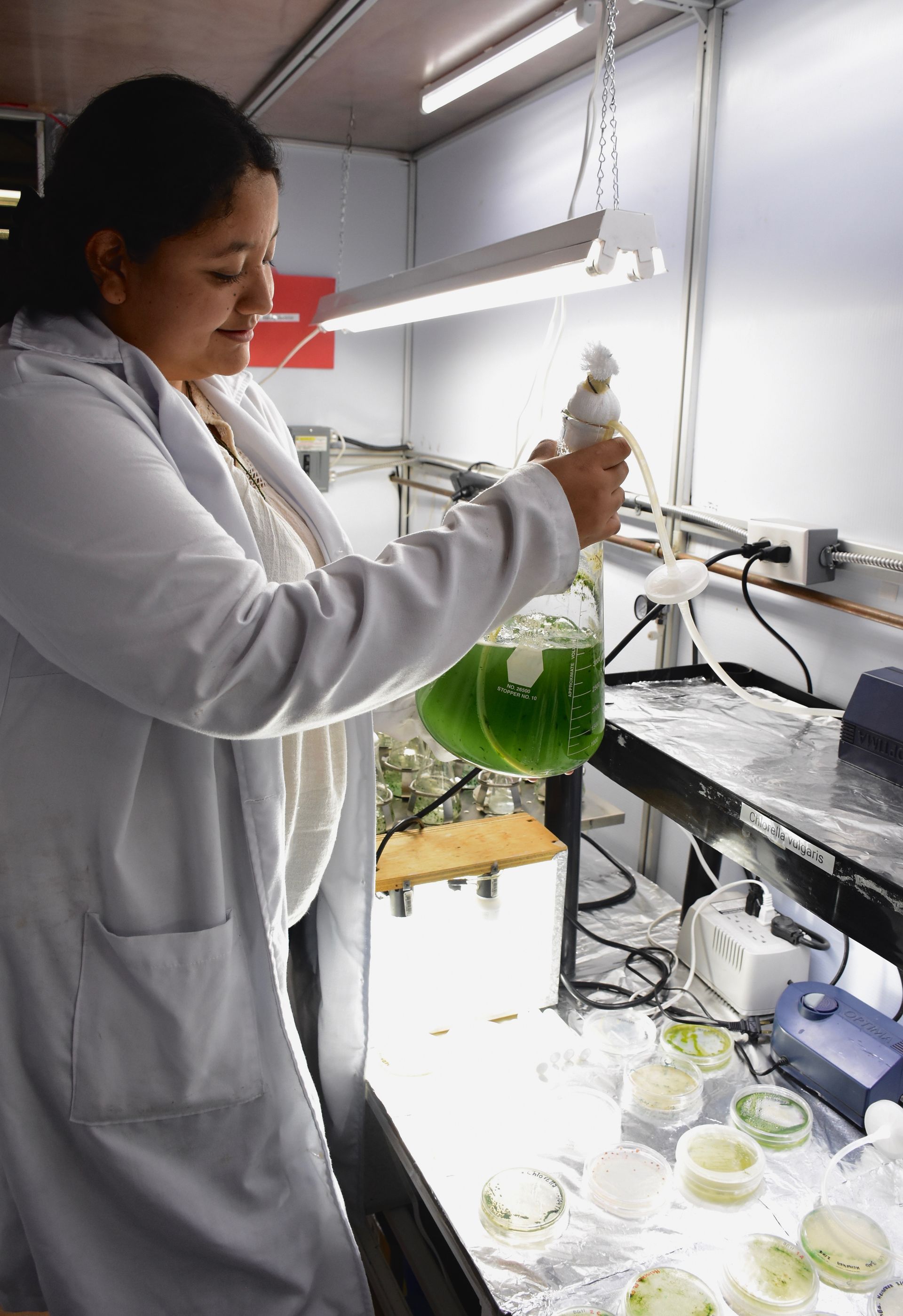 Es la primera vez que el nejayote se aplica como medio de cultivo para las microalgas