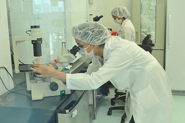 Investigación