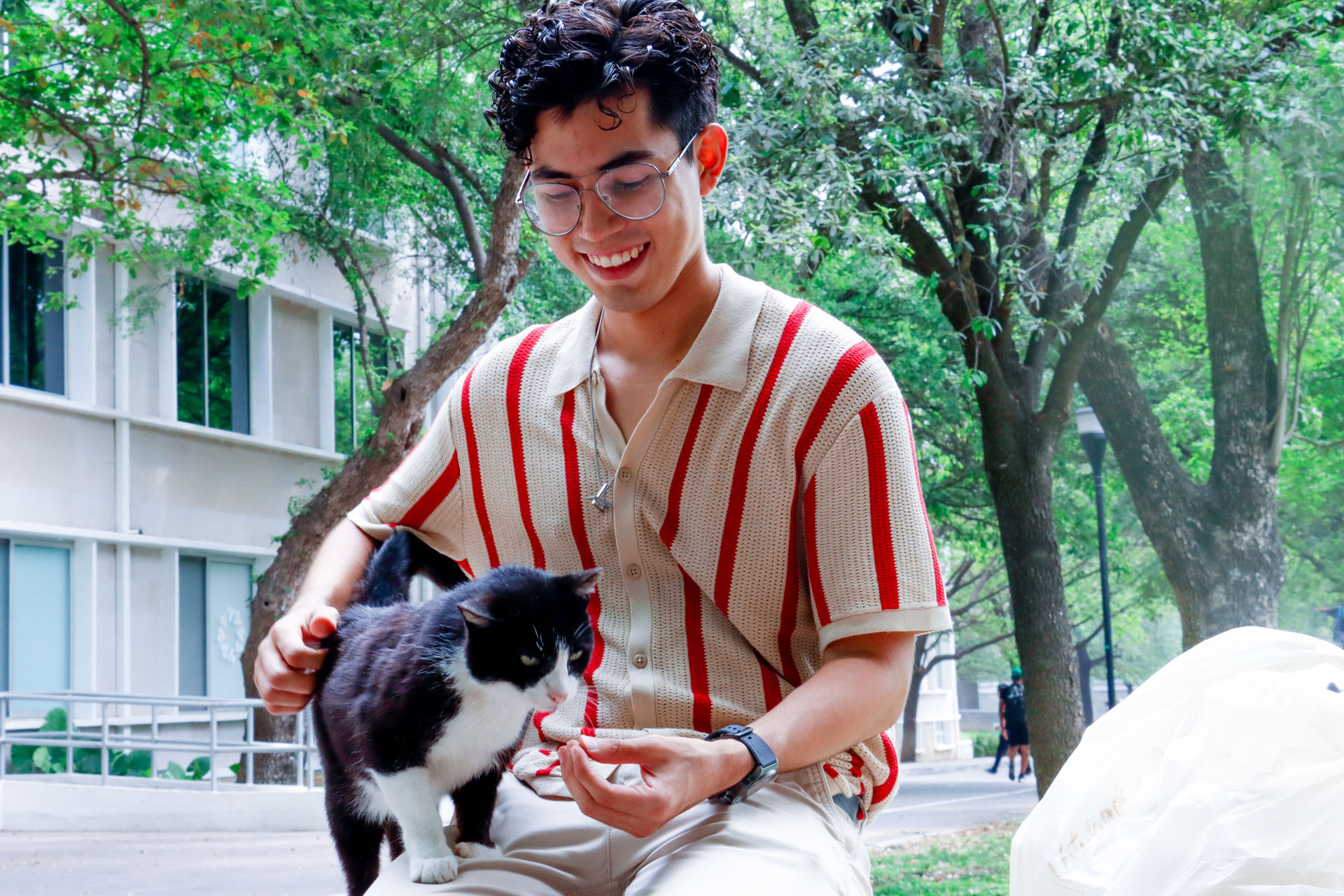 ¡Miau! Conoce a Cookie, el gatito influencer del campus Monterrey. Noticias en tiempo real