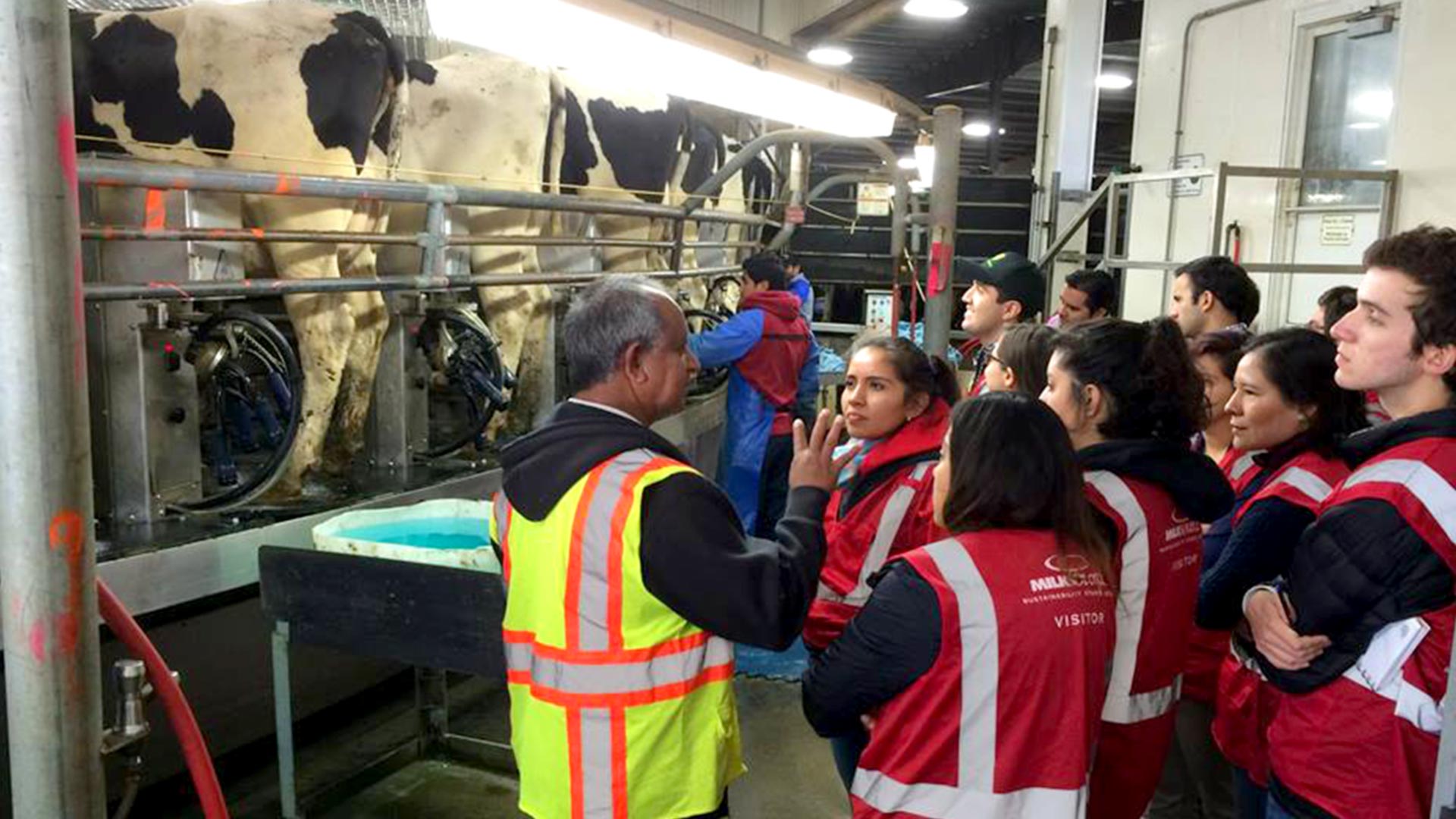 Alumnos en una productora de leche