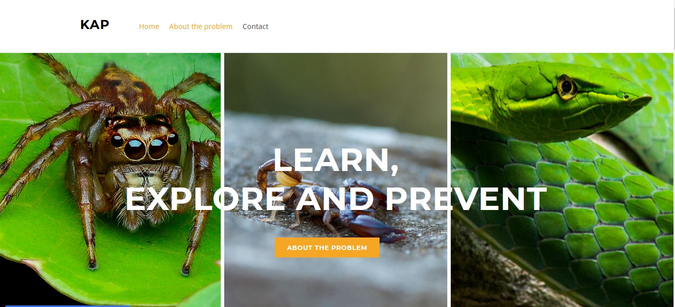 App que identifica especies diversas especies de arañas, alacranes y serpientes