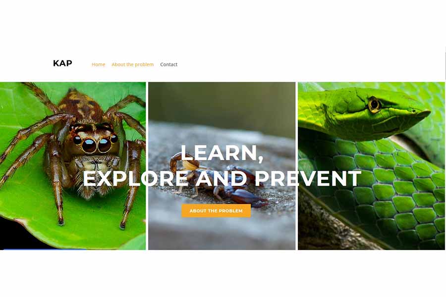 App que identifica especies diversas especies de arañas, alacranes y serpientes