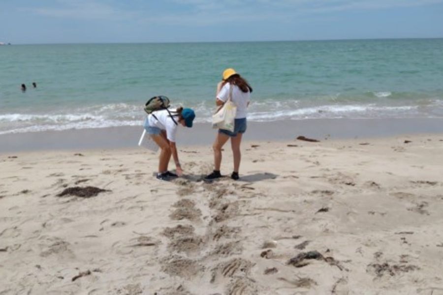 Actividades de voluntariado en BAAM, llevando tortugas al mar.