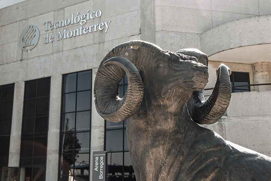 La estatua del borrego cimarrón de campus Toluca ve hacia el campus Monterrey