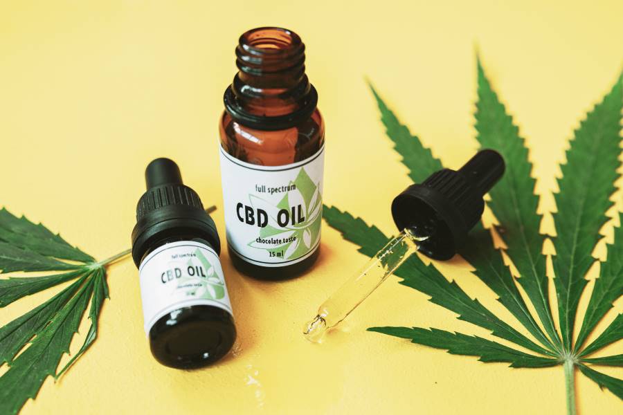 cannabis-medicinal-tecsalud