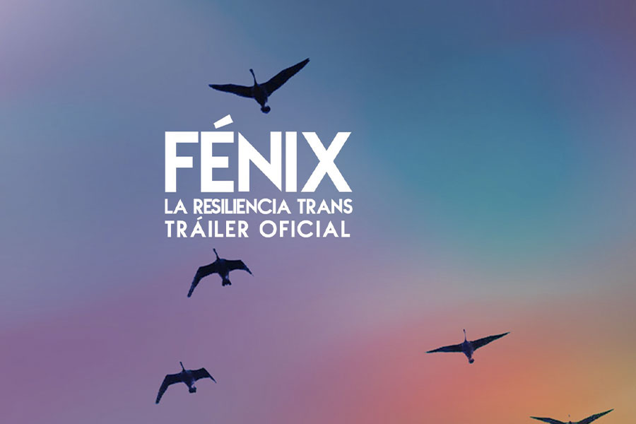 Cartel oficial del cortometraje documental Fénix
