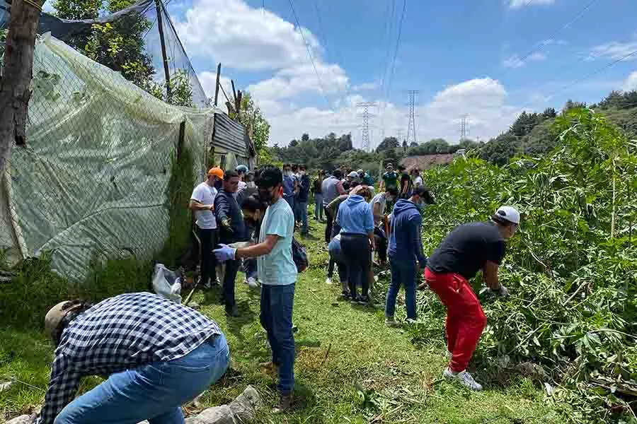 Desarrollo sustentable, Tec región CDMX