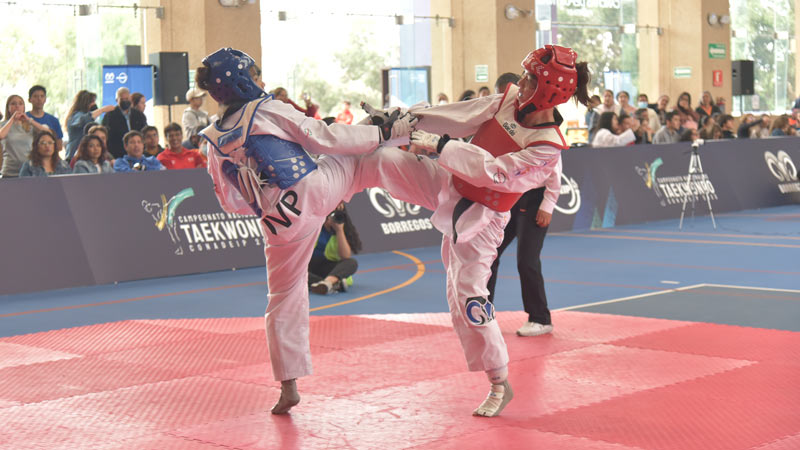 Gana Borrego Sante Fe de taekwondo competencia nacional con cinco oros y más medallas