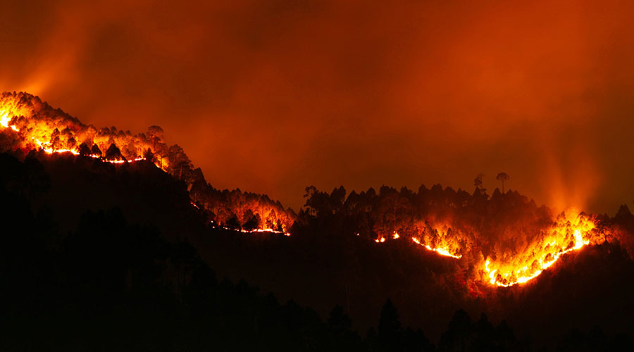 Los incendios forestales han afectado 14 millones de hectáreas en México