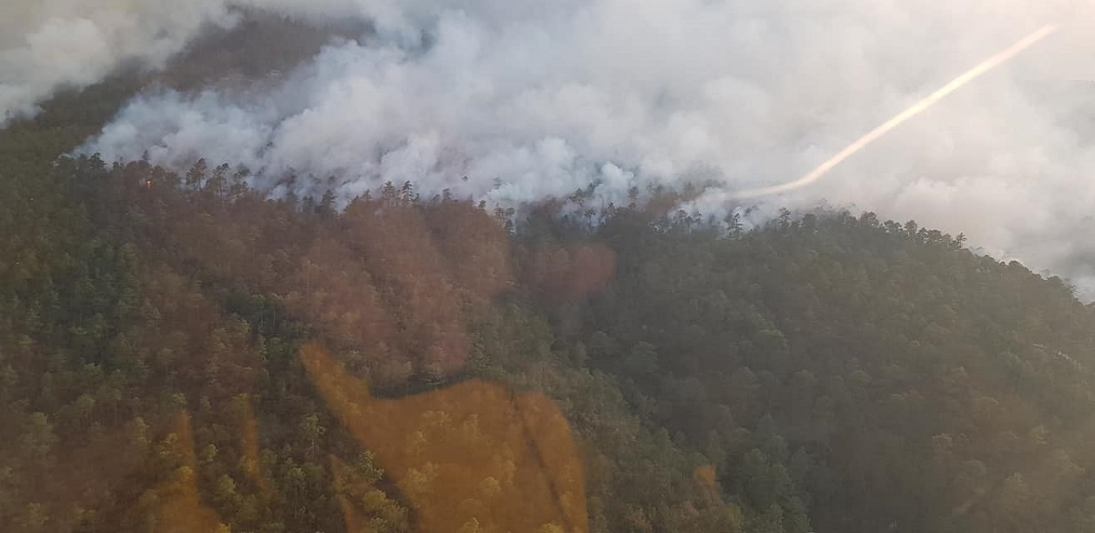 El incendio generado hace unos días ha afectado a la Sierra de Santiago, en Nuevo León. 