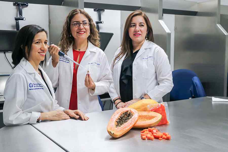 Investigadoras del campus Monterrey en la ciencia; su estudio se centra en aumentar propiedades nutricionales de la papaya