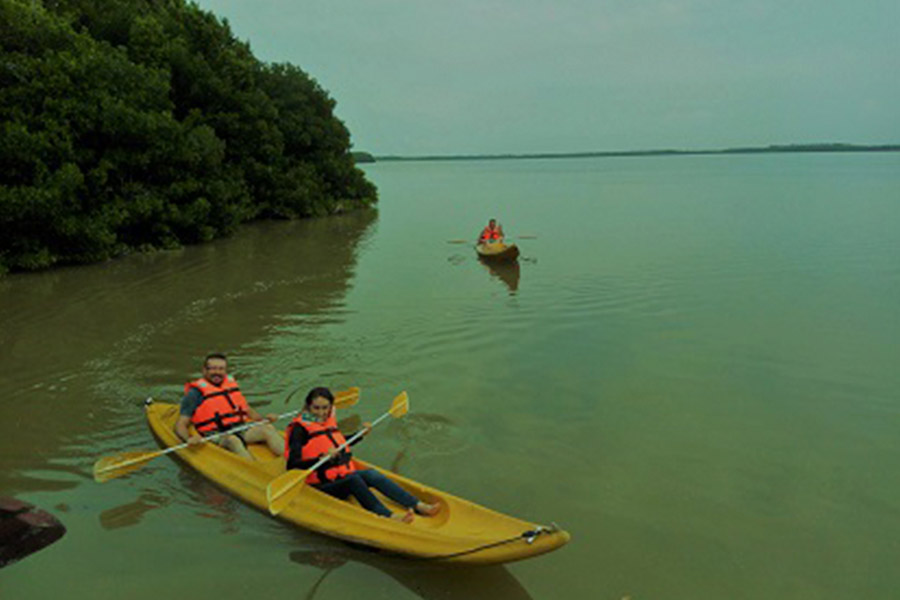 kayak-manglares