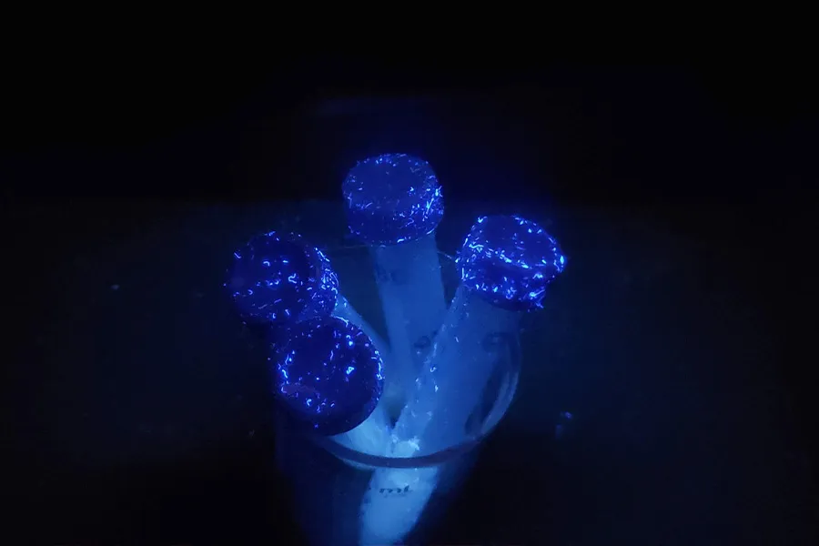 Audrey Hidalgo, nanoemulsiones, Tec CEM