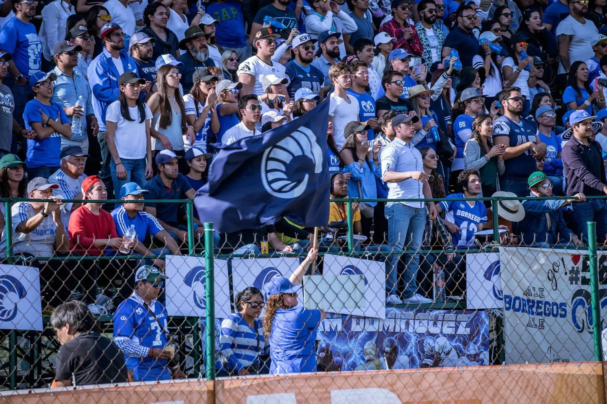 Borregos Toluca, campeones