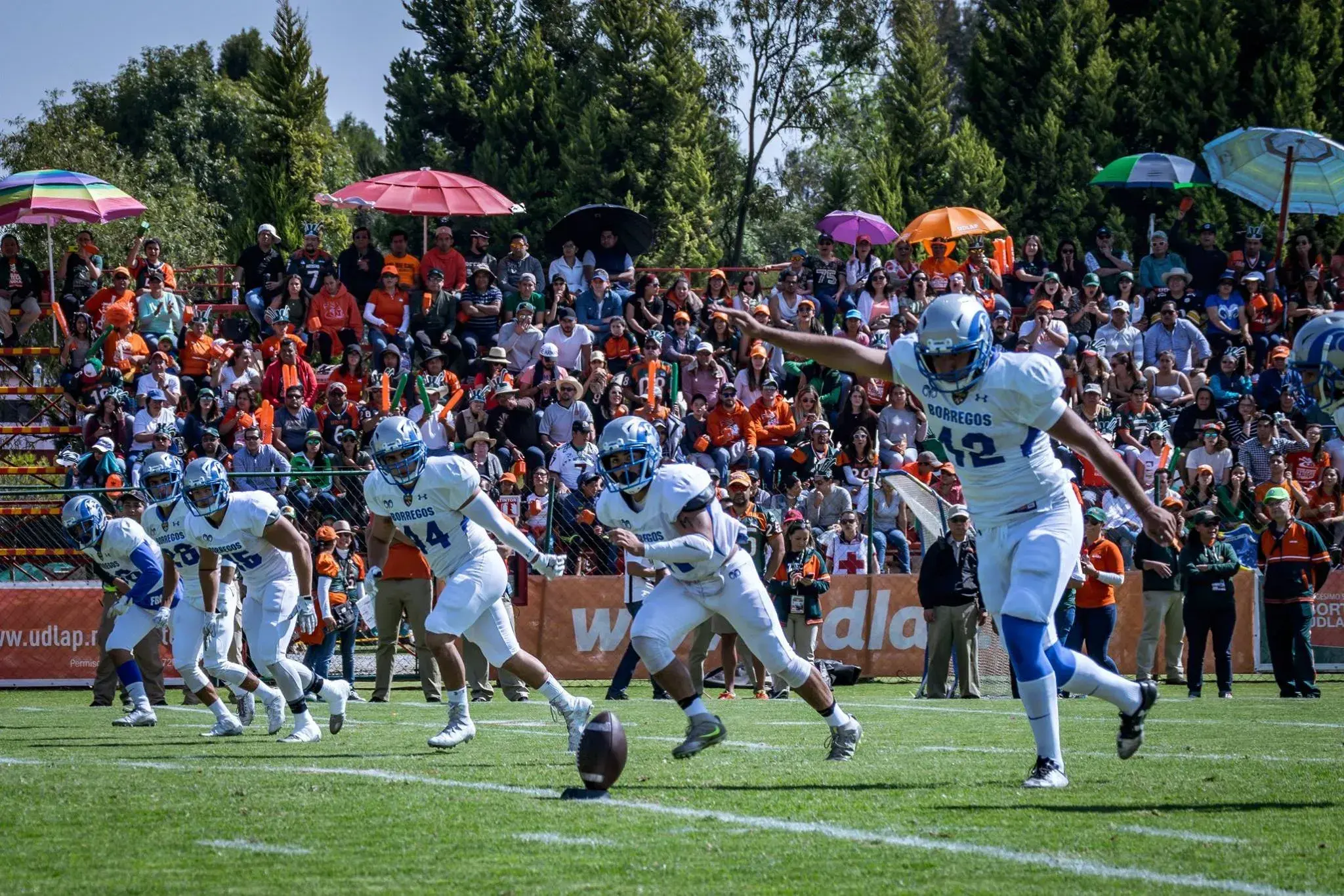 Borregos Toluca, campeones