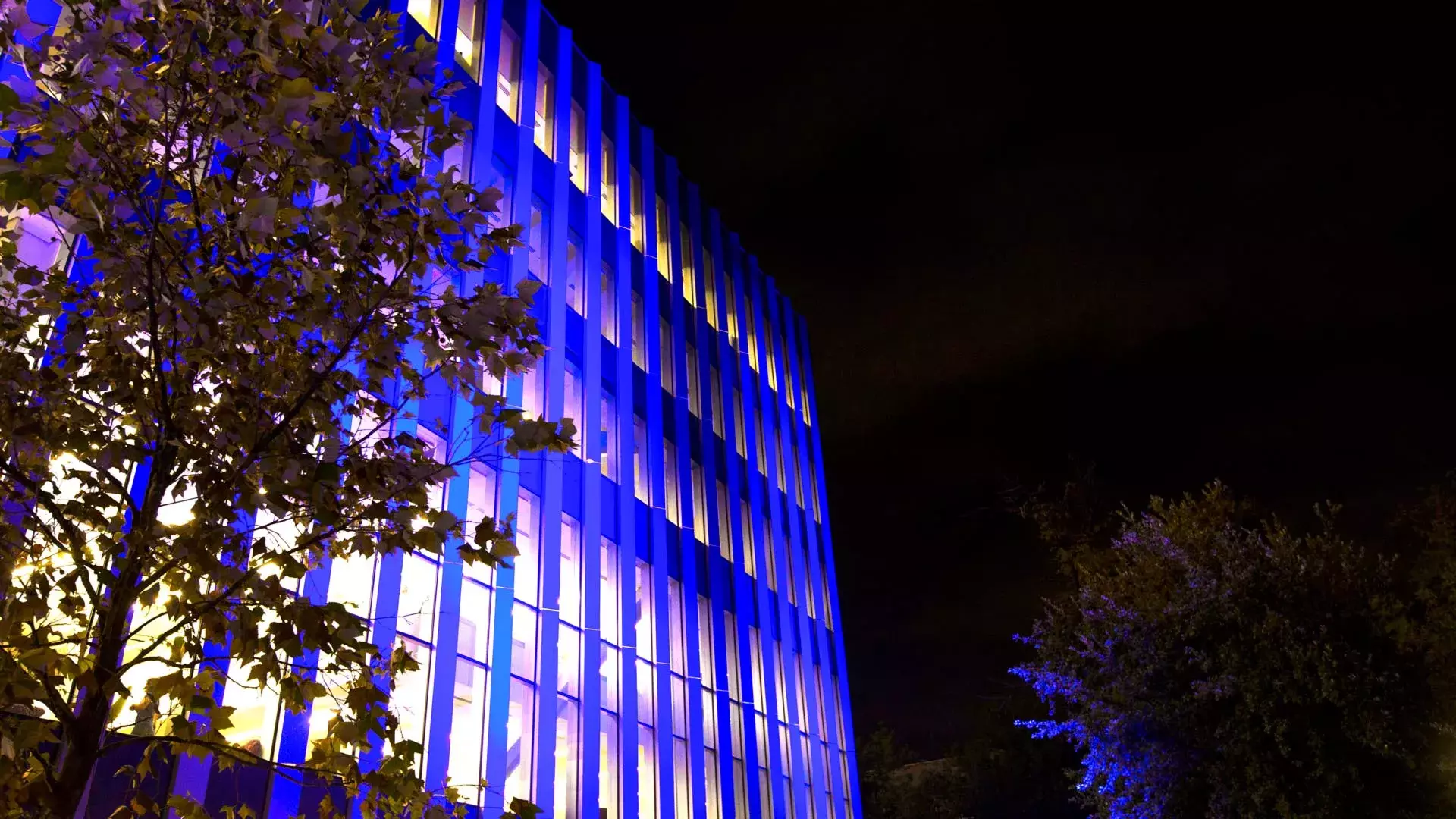La BiblioTEC fue iluminada por el emblemático color azul.