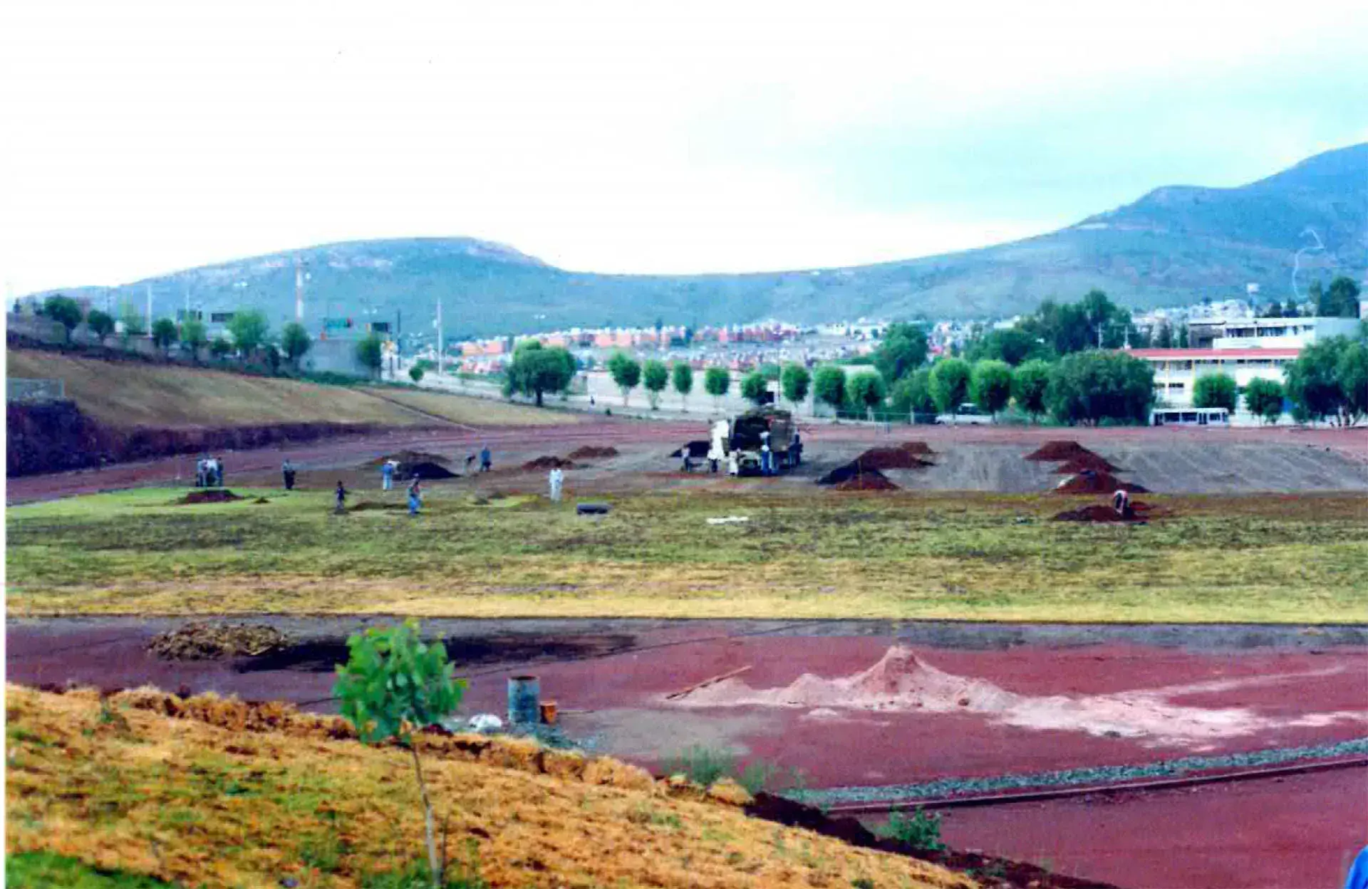 Cancha empastada .