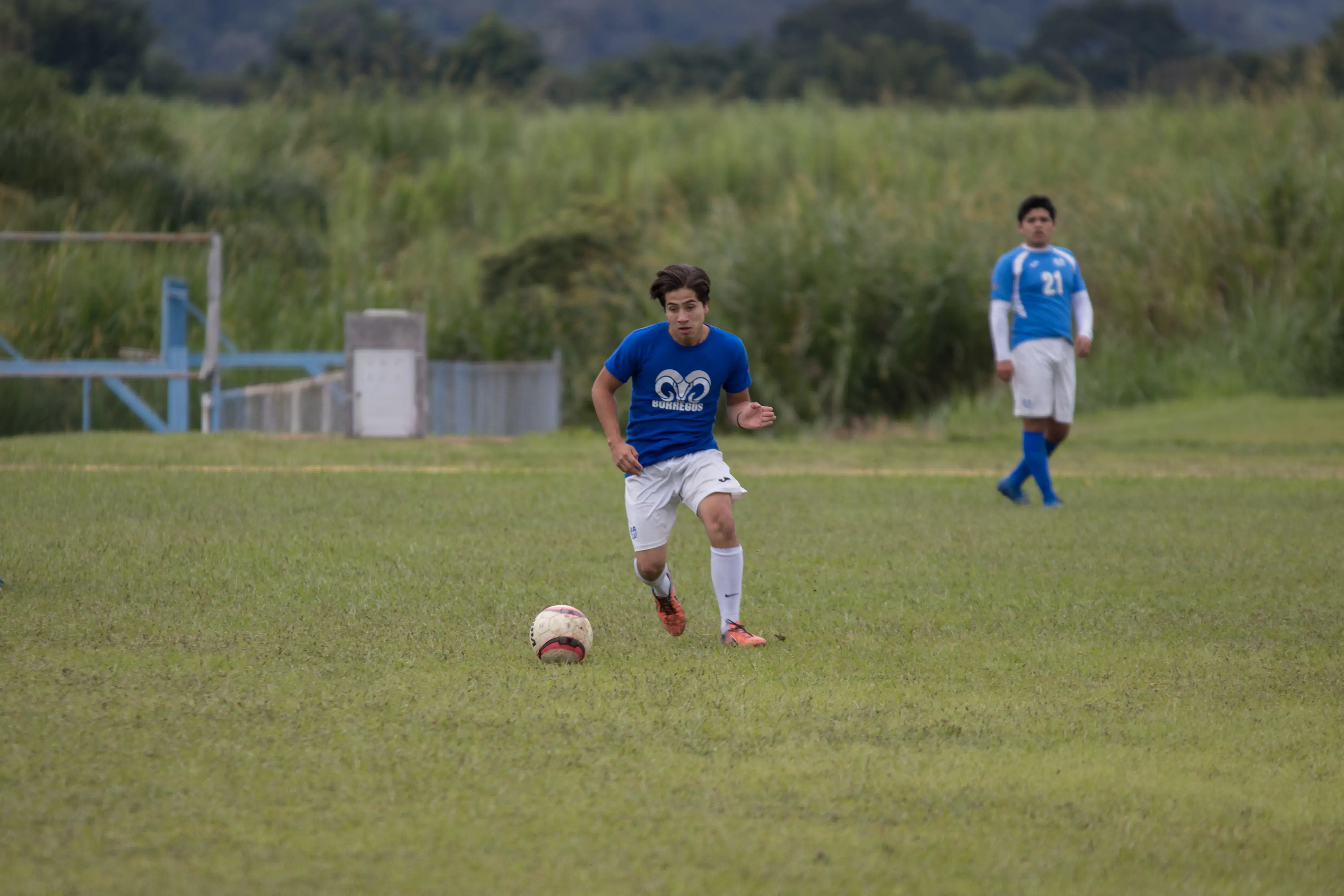 ¿Pasión y talento? Se escribe Copa Borregos