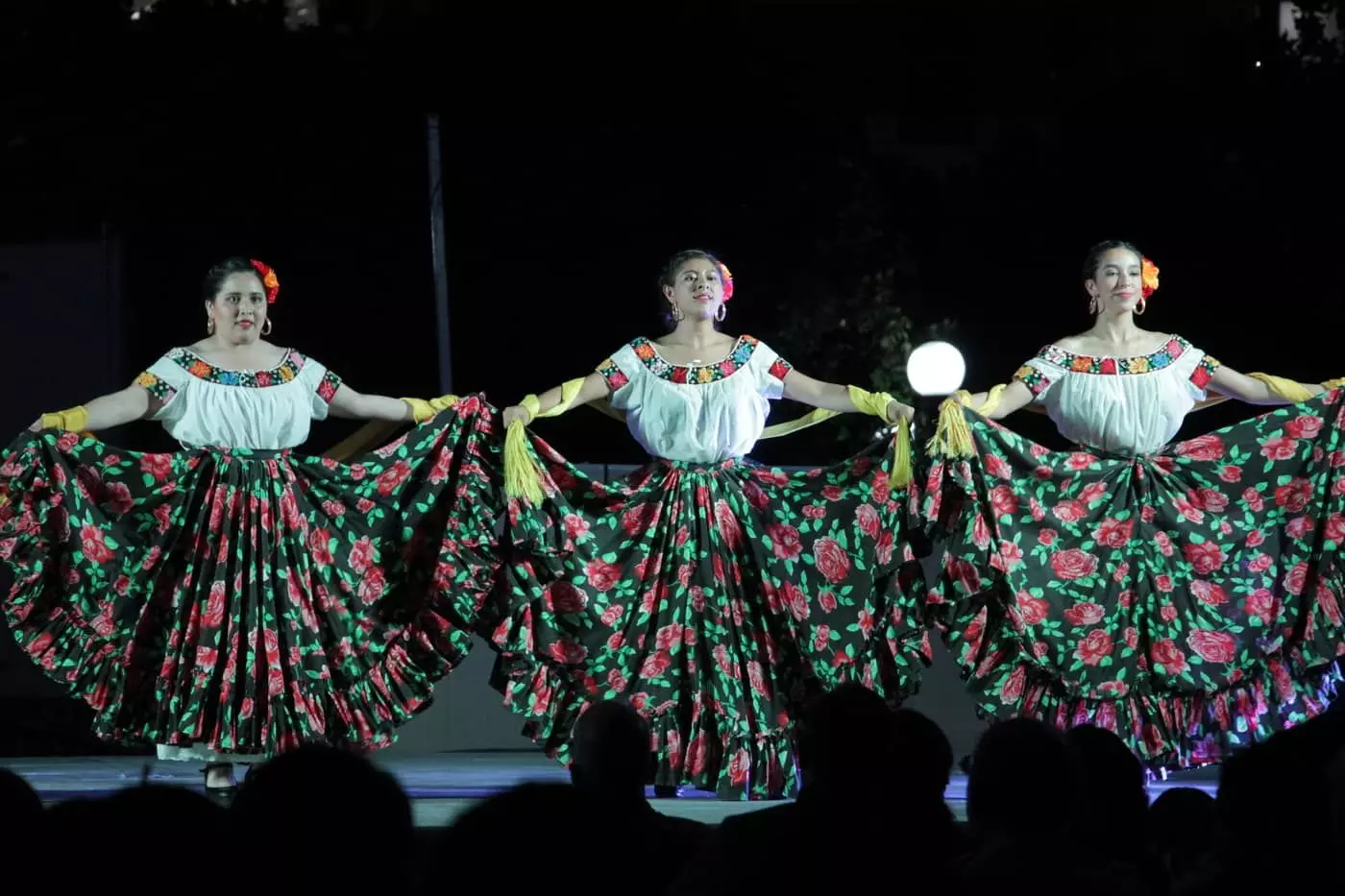 Muestra Cultural