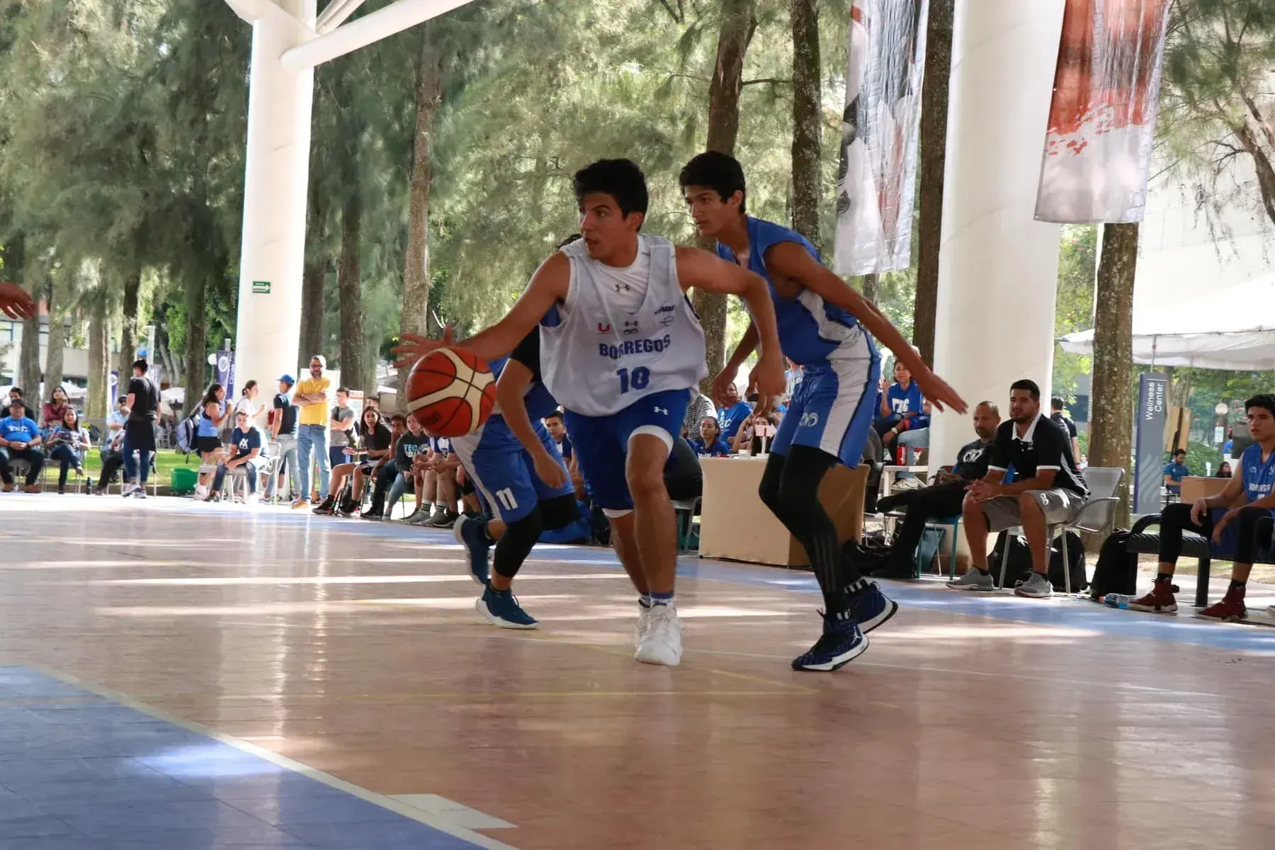 Intercampus 2019
