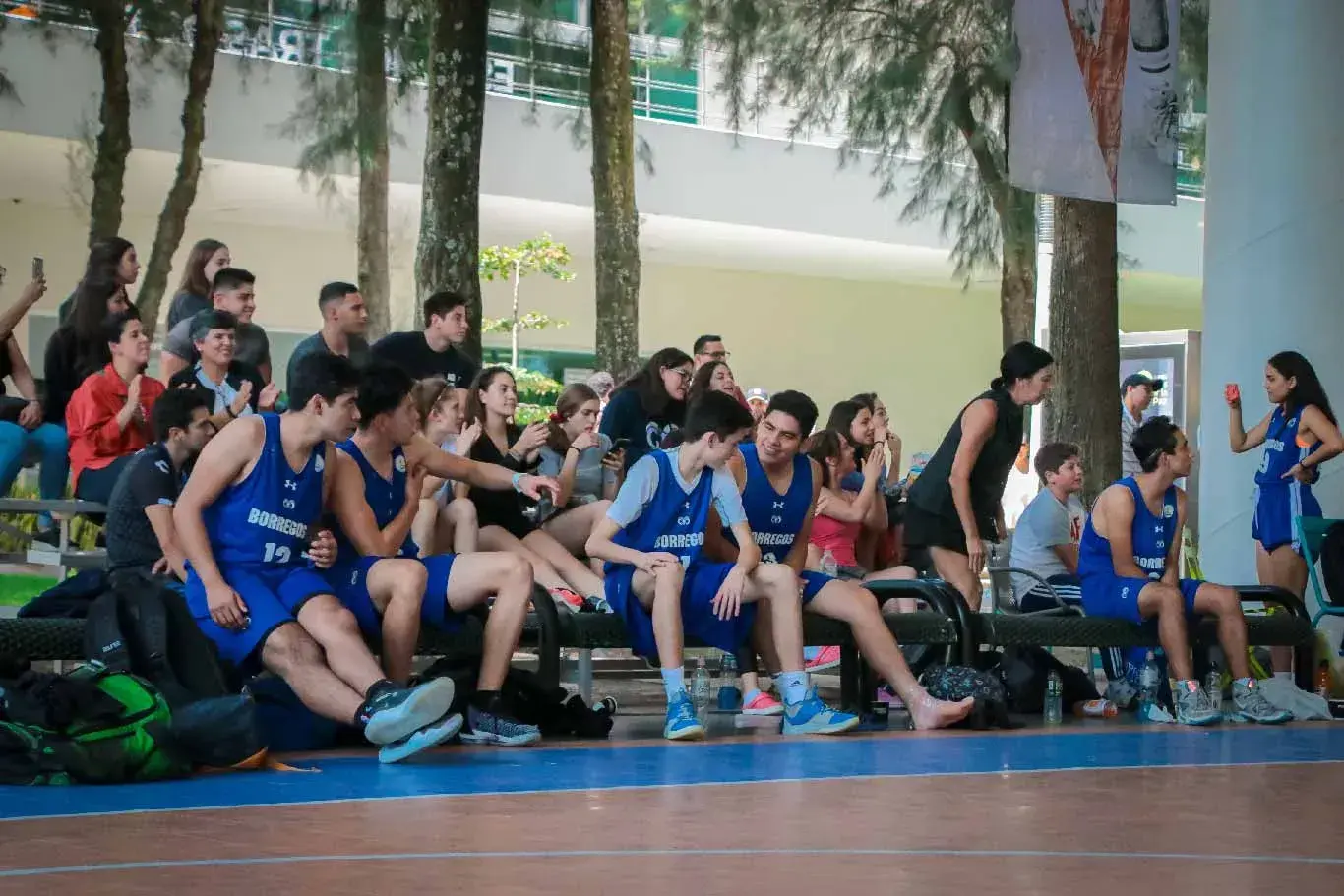 Borregos Zacatecas campeonas de basquetbol baloncesto