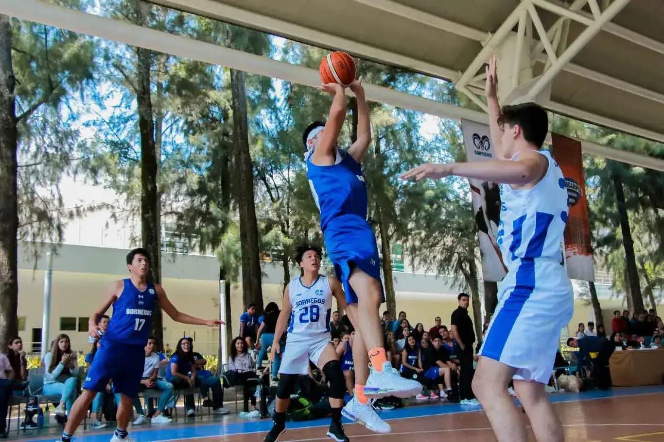 Borregos Zacatecas campeonas de basquetbol baloncesto