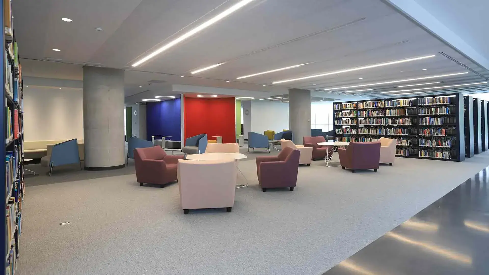 Biblioteca