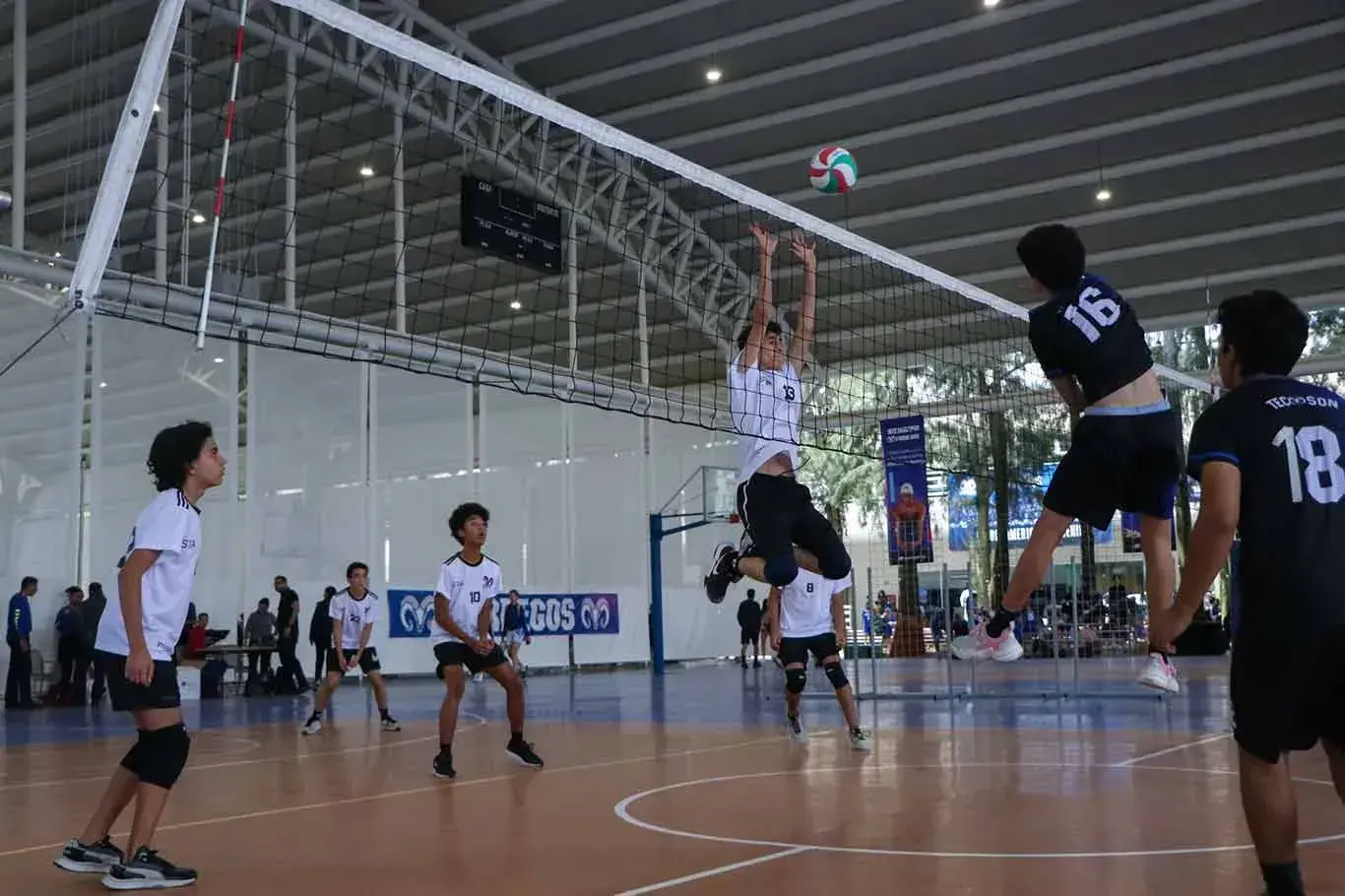 Borregos Intercampus 2022, encuentro deportivo del Tec, realizado en campus Guadalajara.