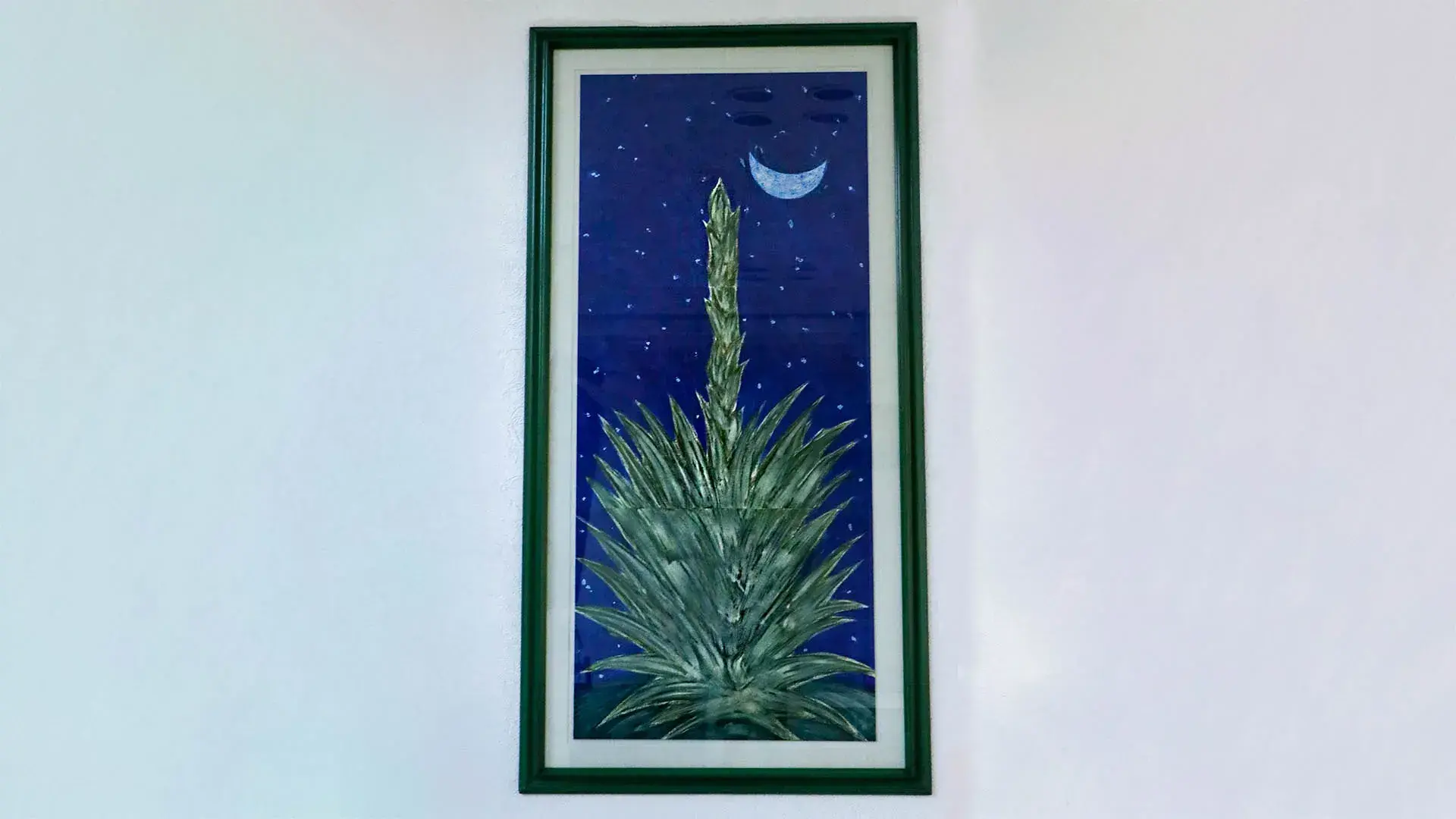 El maguey nocturno