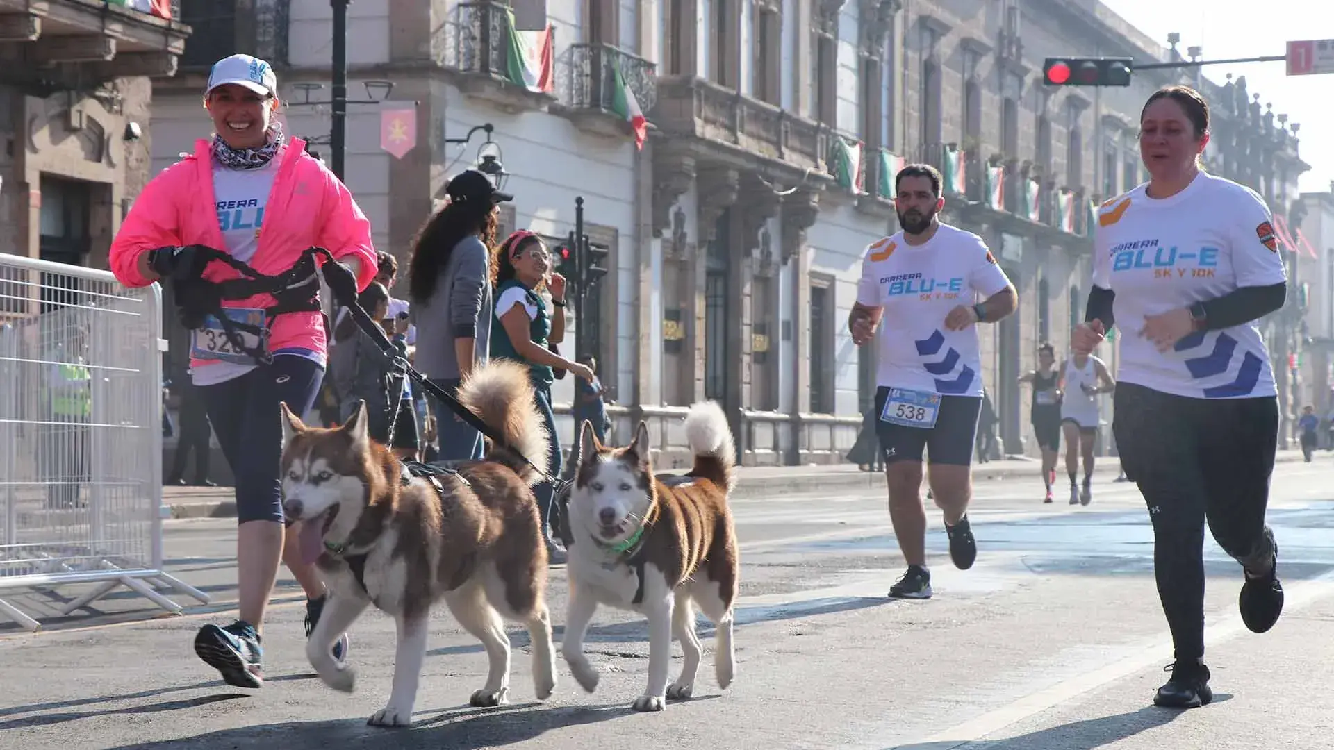 Perros corriendo en la carrera