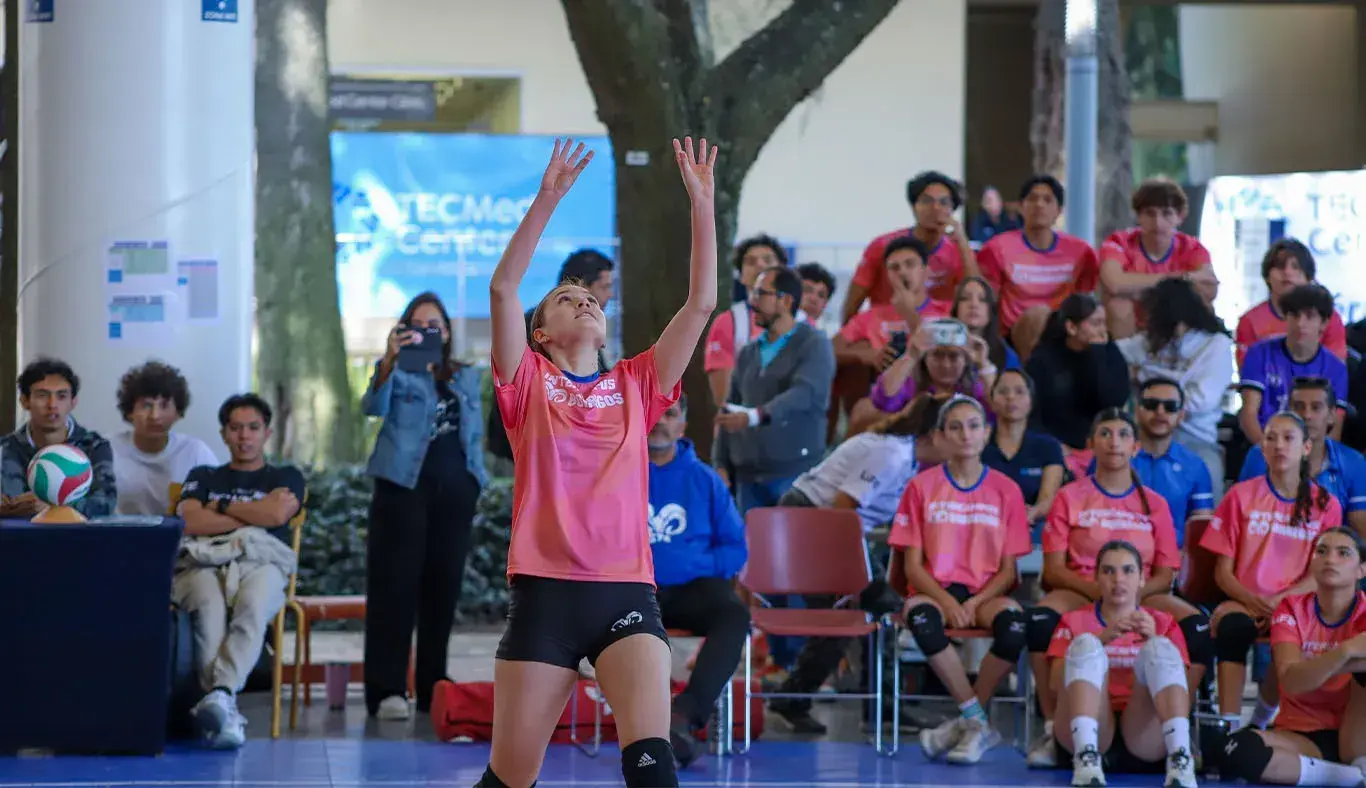 Jugadora de voleibol preparándose para colocar balón a compañera. 
