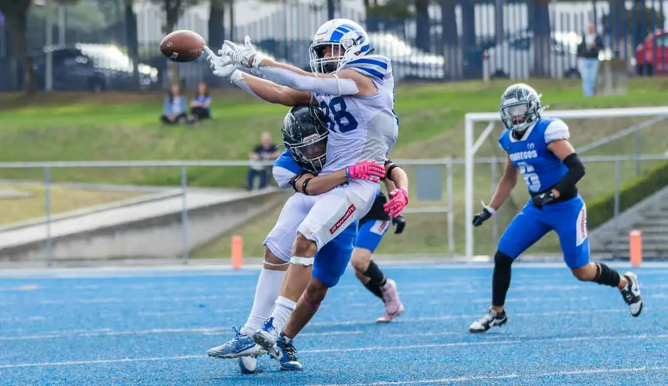 Borregos Toluca Juvenil, campeones invictos de la ONEFA 2025 (Fotos)