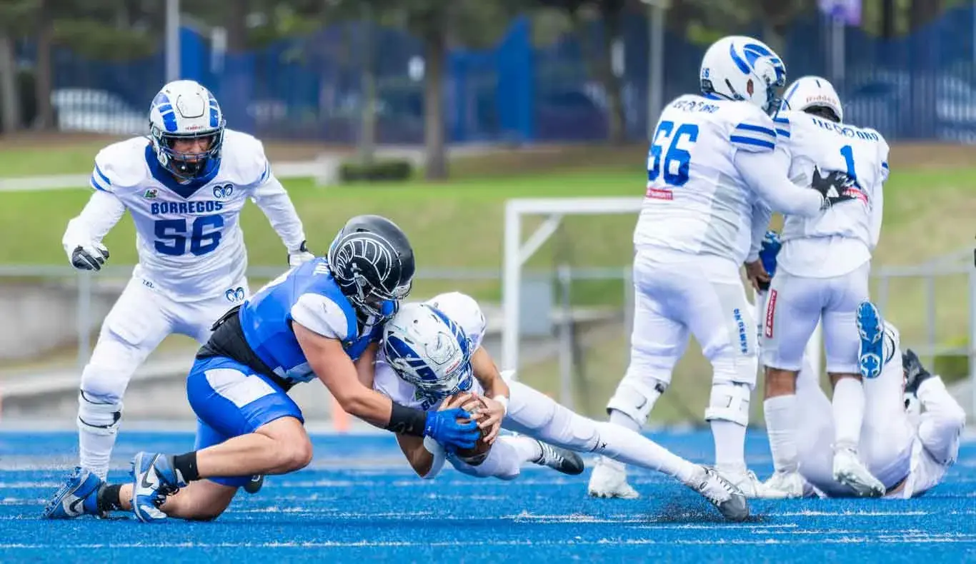 Borregos Toluca Juvenil, campeones invictos de la ONEFA 2025 (Fotos)