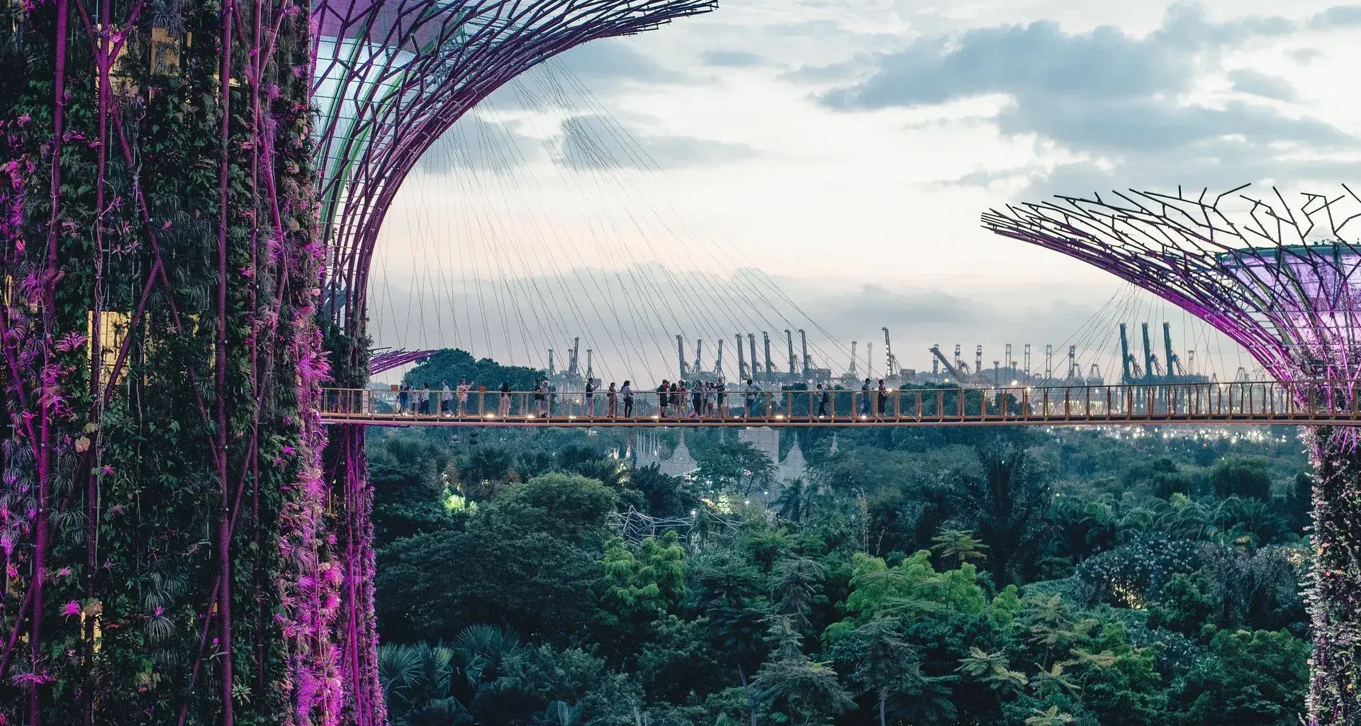 Singapur Verde NTU-Tec EIC