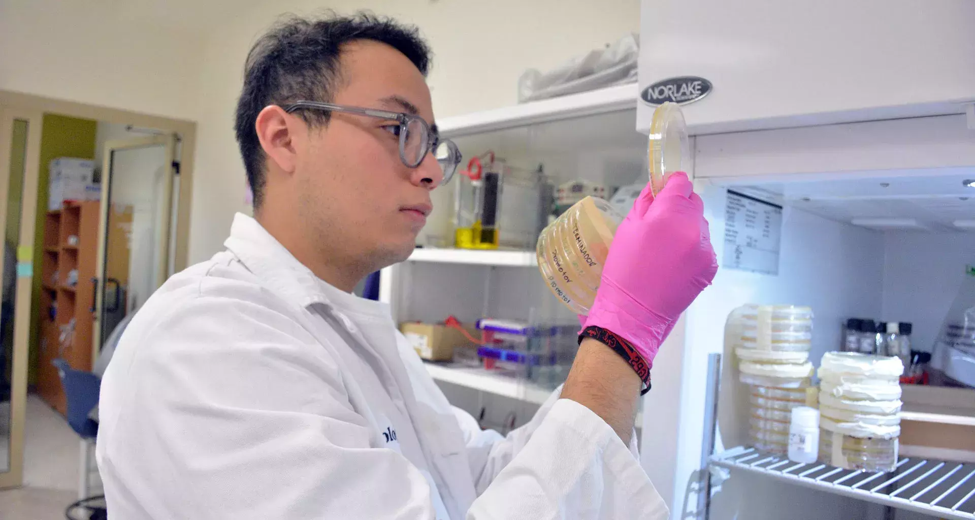 Mexicano de 21 años irá a Harvard para investigación con células madre