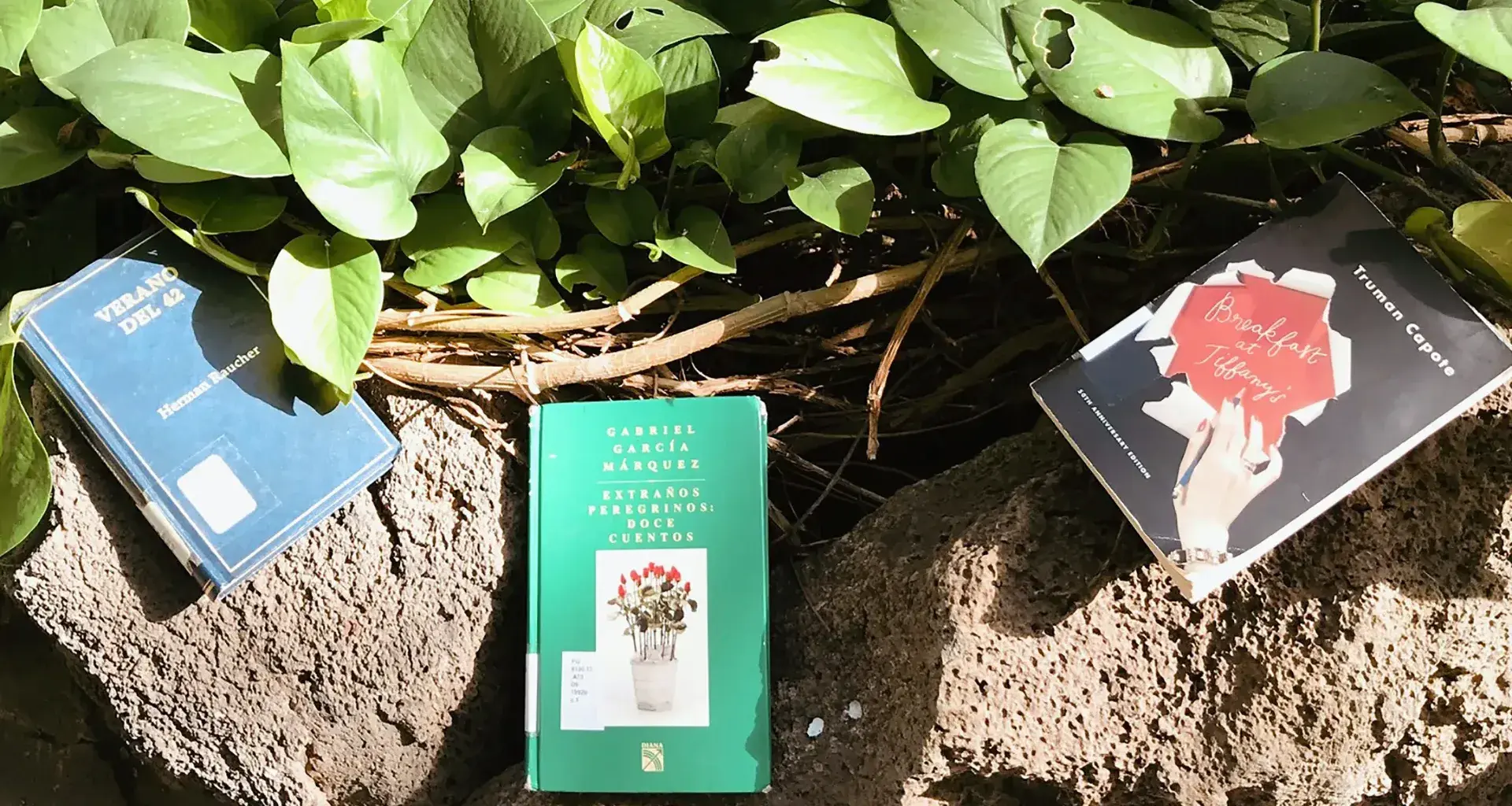 3 lecturas para leer en verano