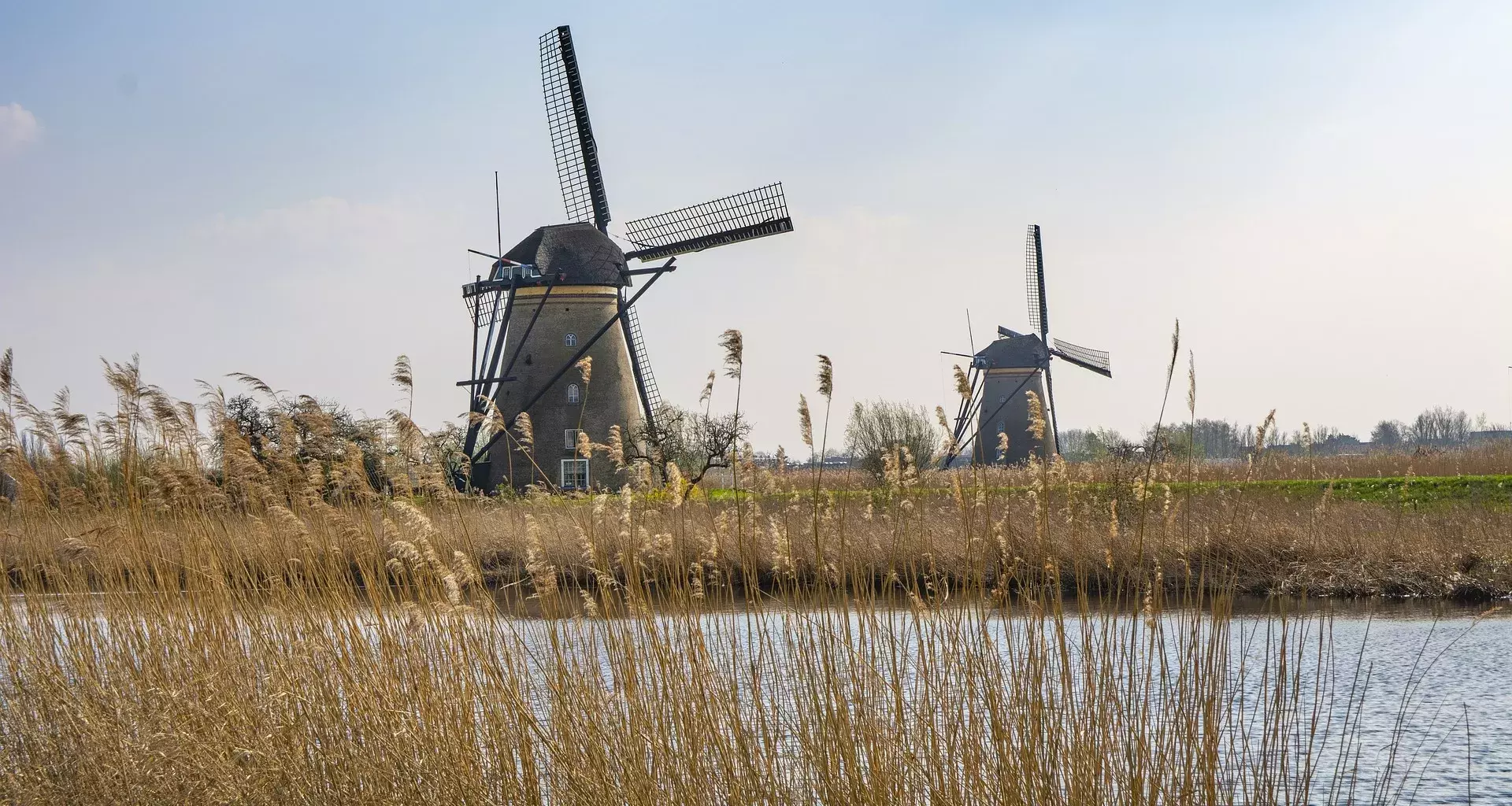 Países Bajos es ejemplo de sustentabilidad a nivel mundial