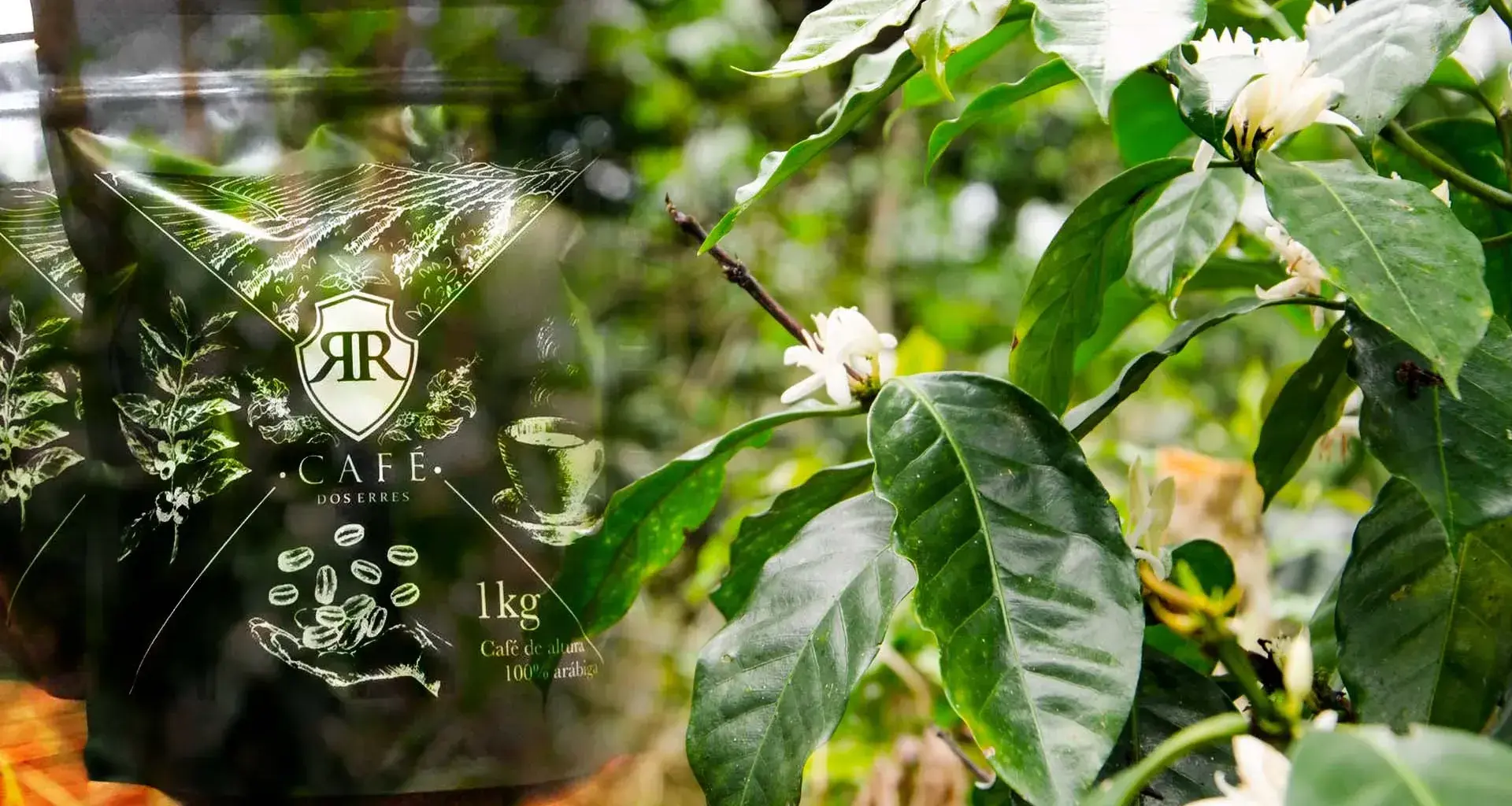 Emprendedores Tec crean su marca cafetera: Dos Erres Café