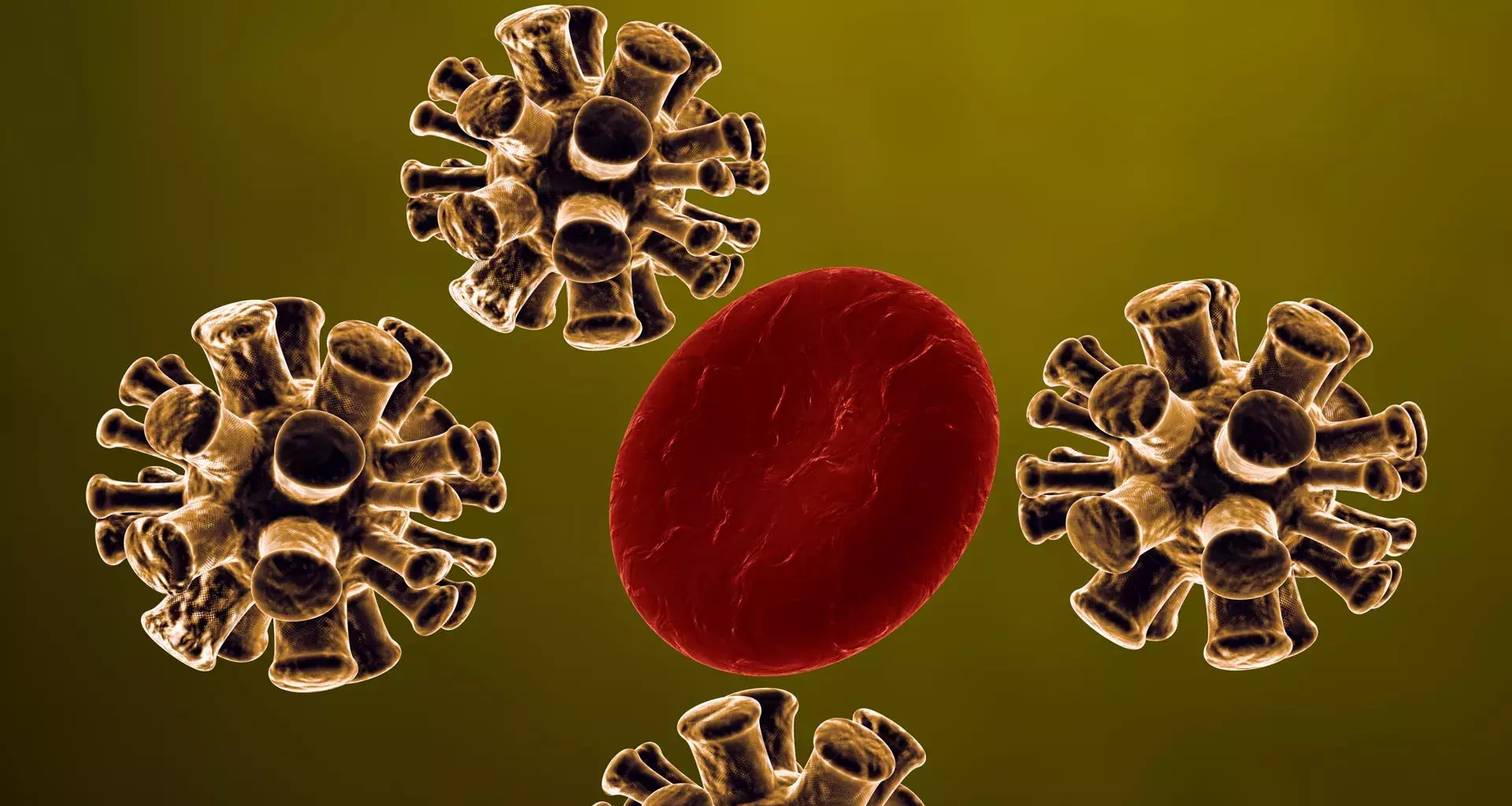 Here’s how the coronavirus attacks the human body