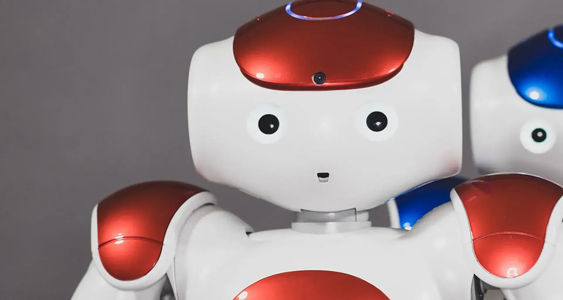 Robot Nao