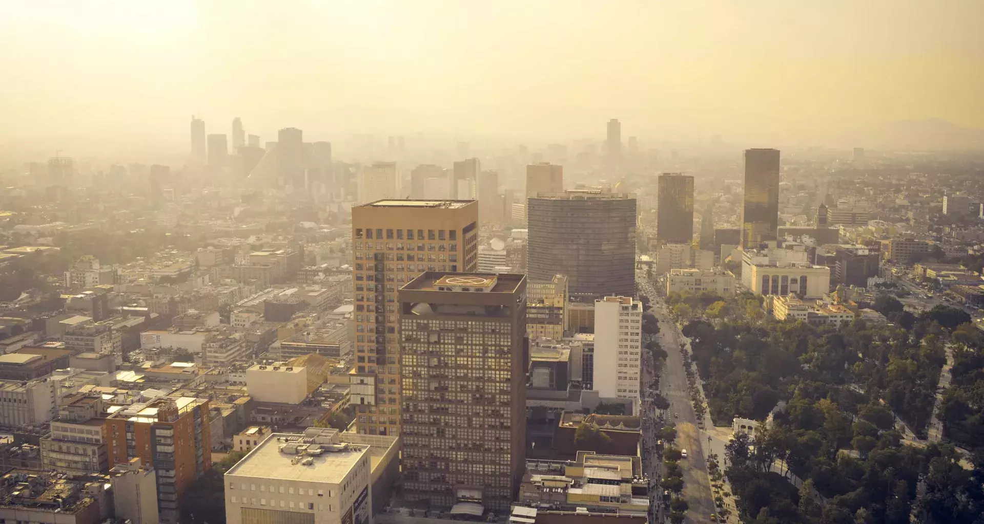 Especialistas del Tec de Monterrey analizan cuáles son los principales problemas de las grandes ciudades