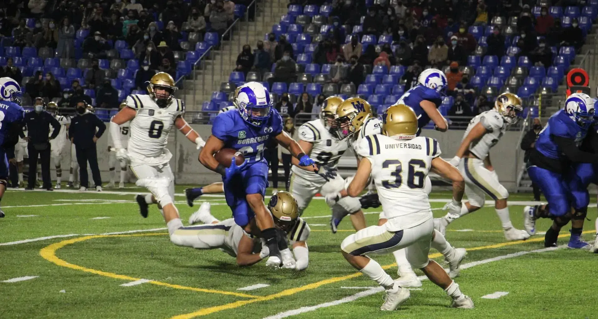 Dan Borregos Monterrey tope inaugural en la ONEFA