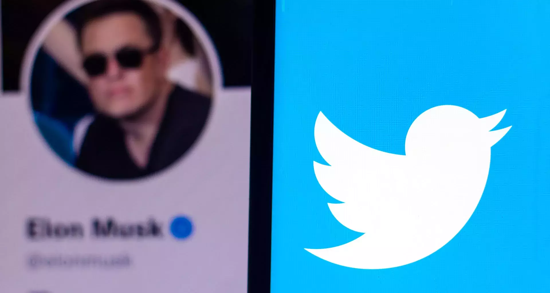 Will there be more freedom of expression on Twitter under Elon Musk?