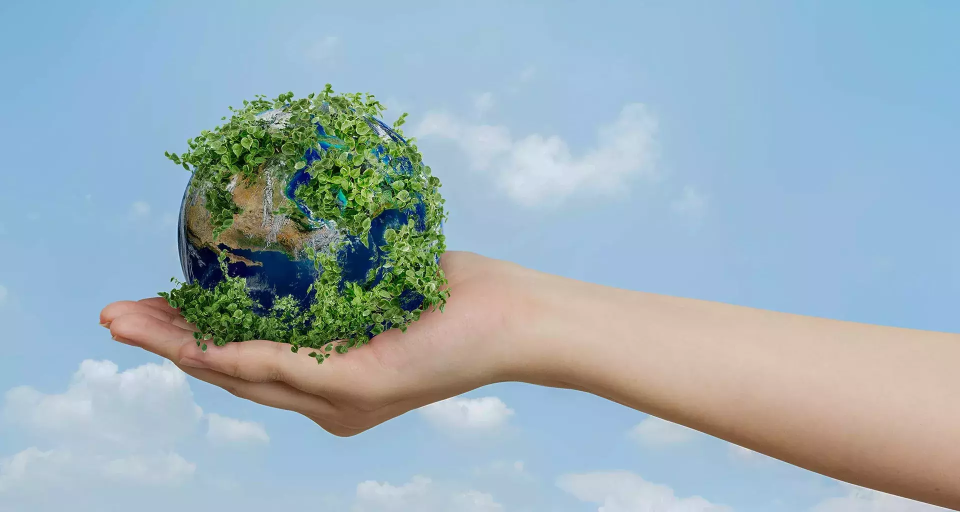 El plan de sostenibilidad del Tec incluye acciones para enfrentar la crisis ambiental y sus efectos