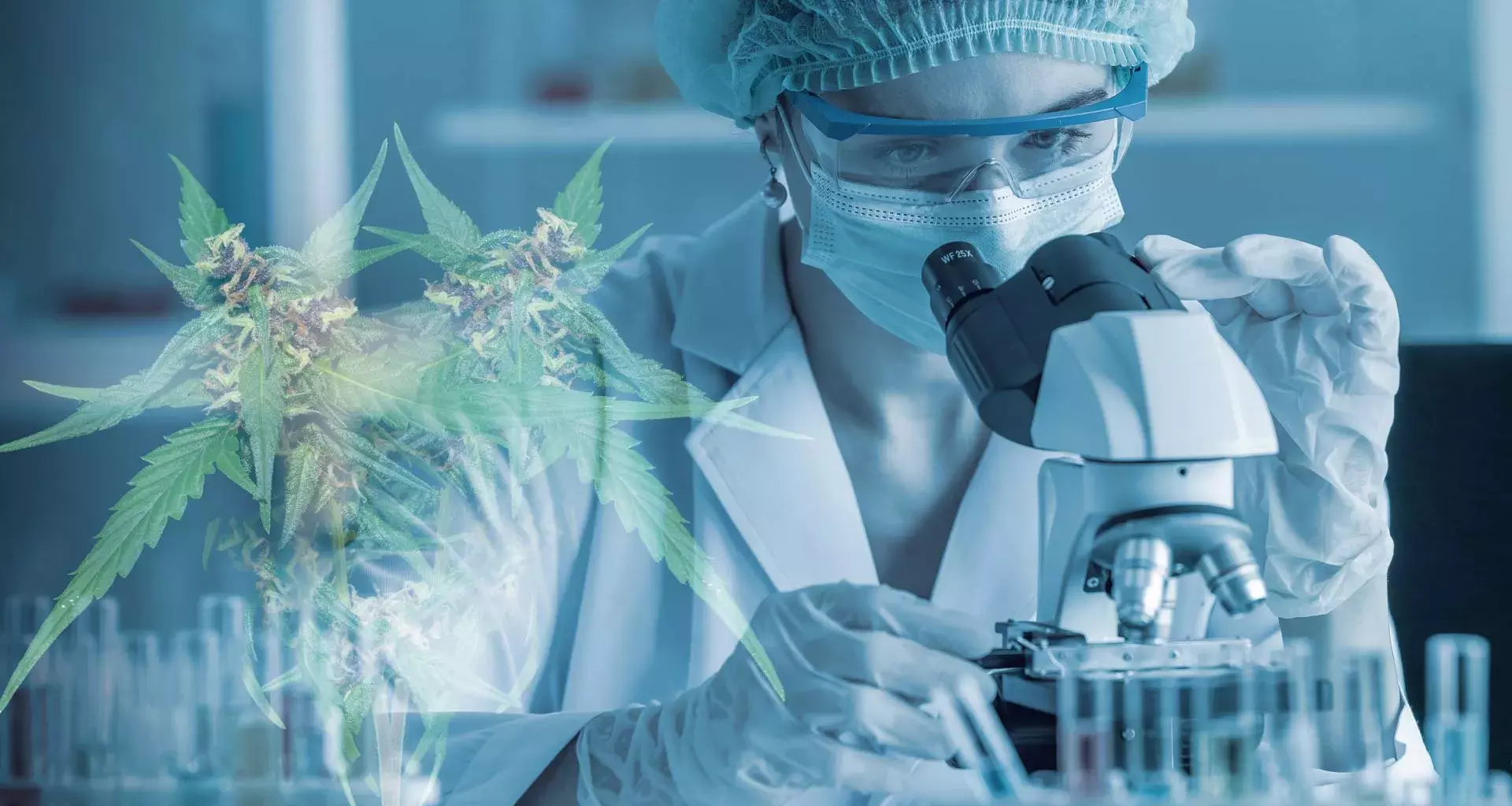 TecSalud conducting first CBD study to treat COVID after-effects