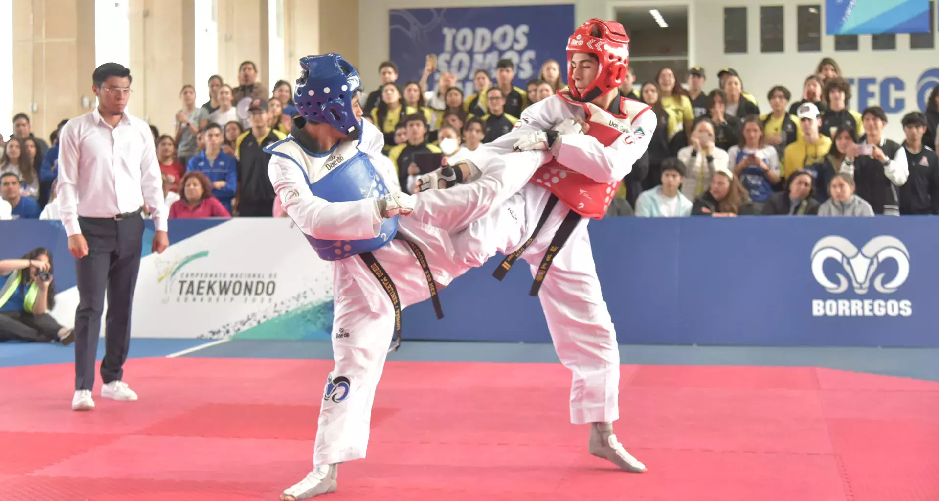 ¡Taekwondoínes dorados! Borregos Santa Fe ganan 5 oros en Nacional