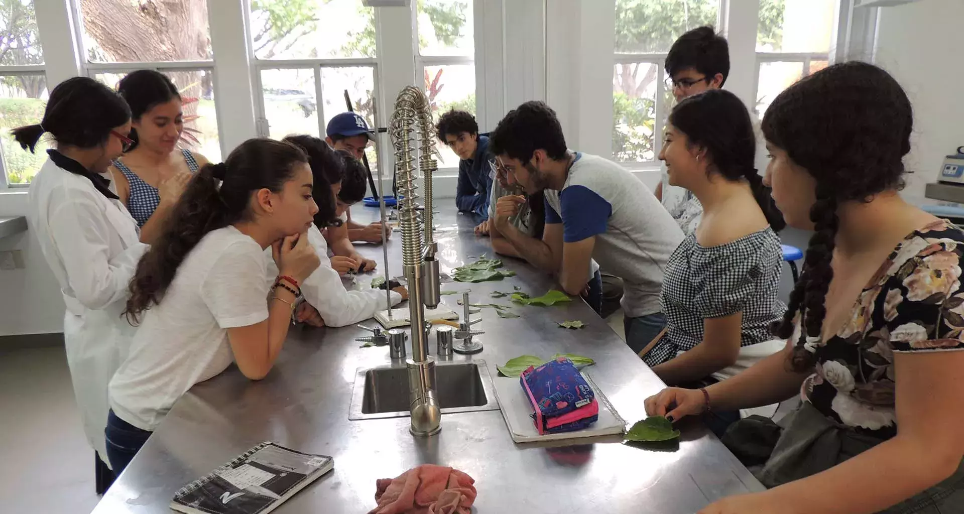 Ovis Canadensis, grupo estudiantil enfocado a la biología y ciencias
