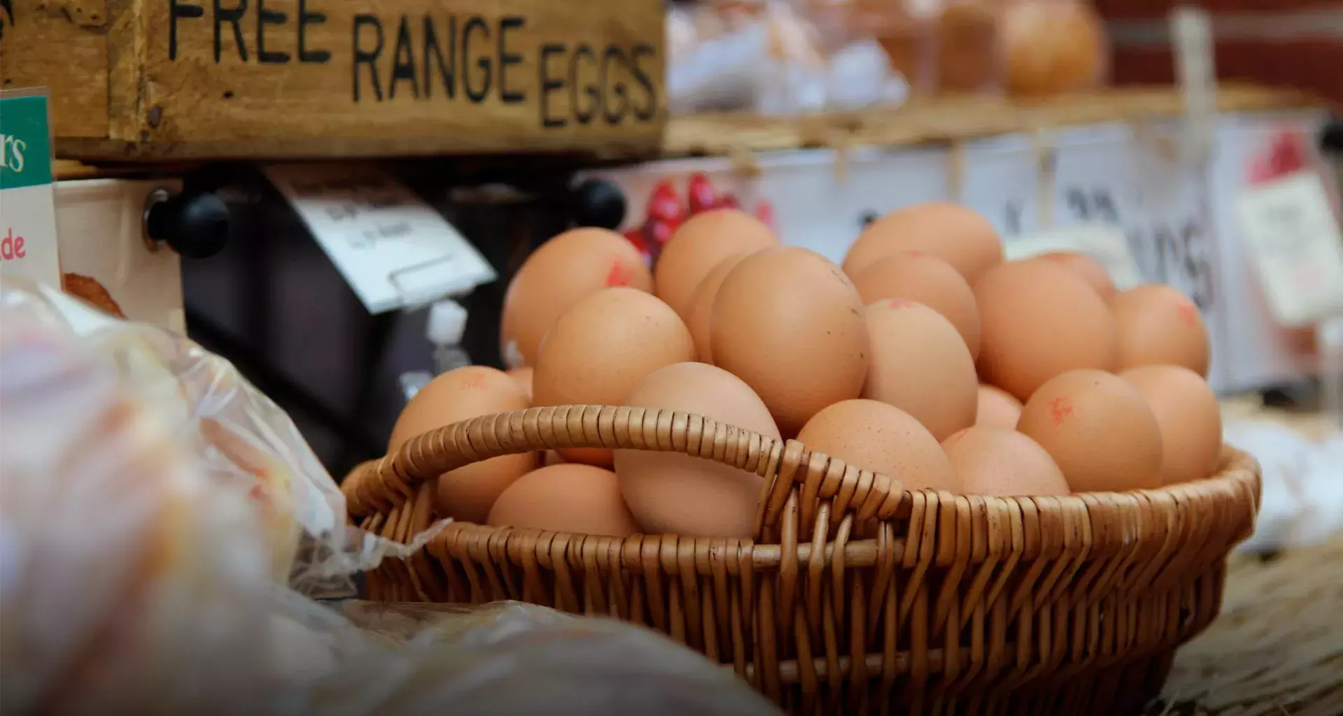 Profesor Tec Querétaro explica el fenómeno de la Gripe Aviar y sus efectos en el precio del huevo
