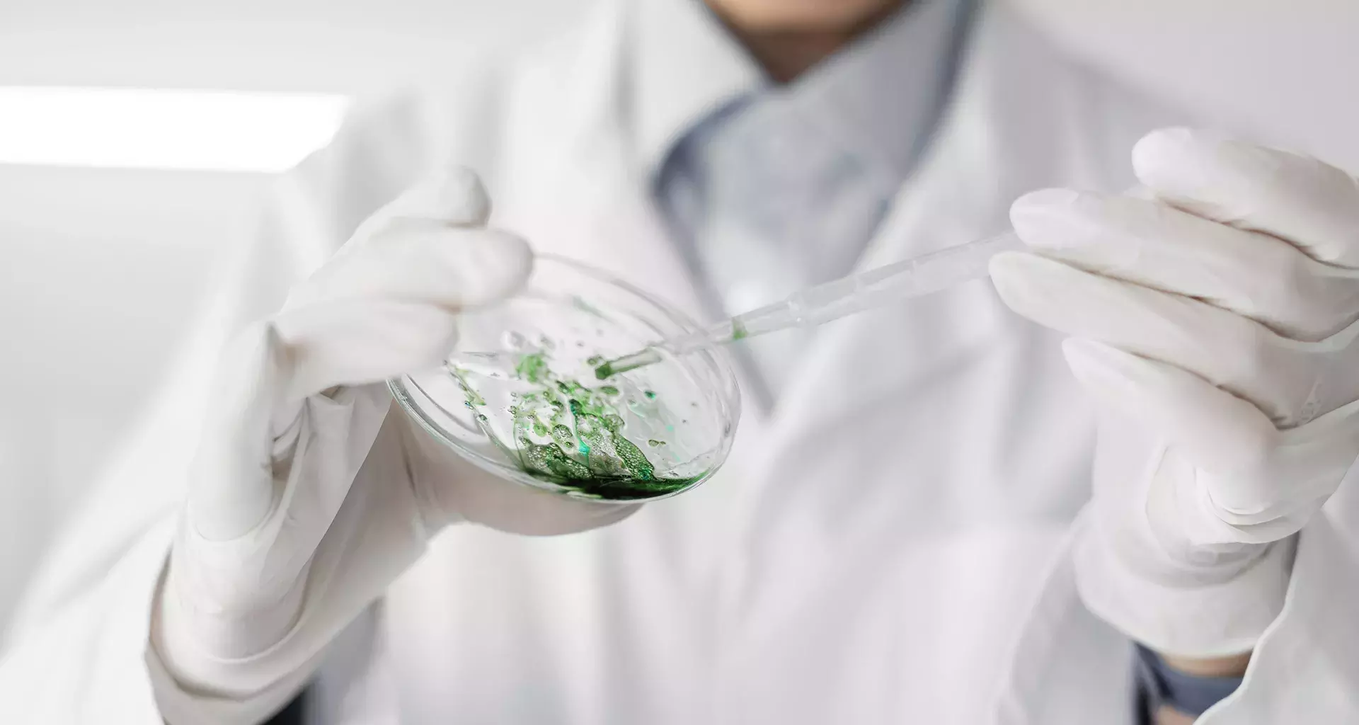 Por buscar bioplástico a partir de microalgas estudiante es reconocida