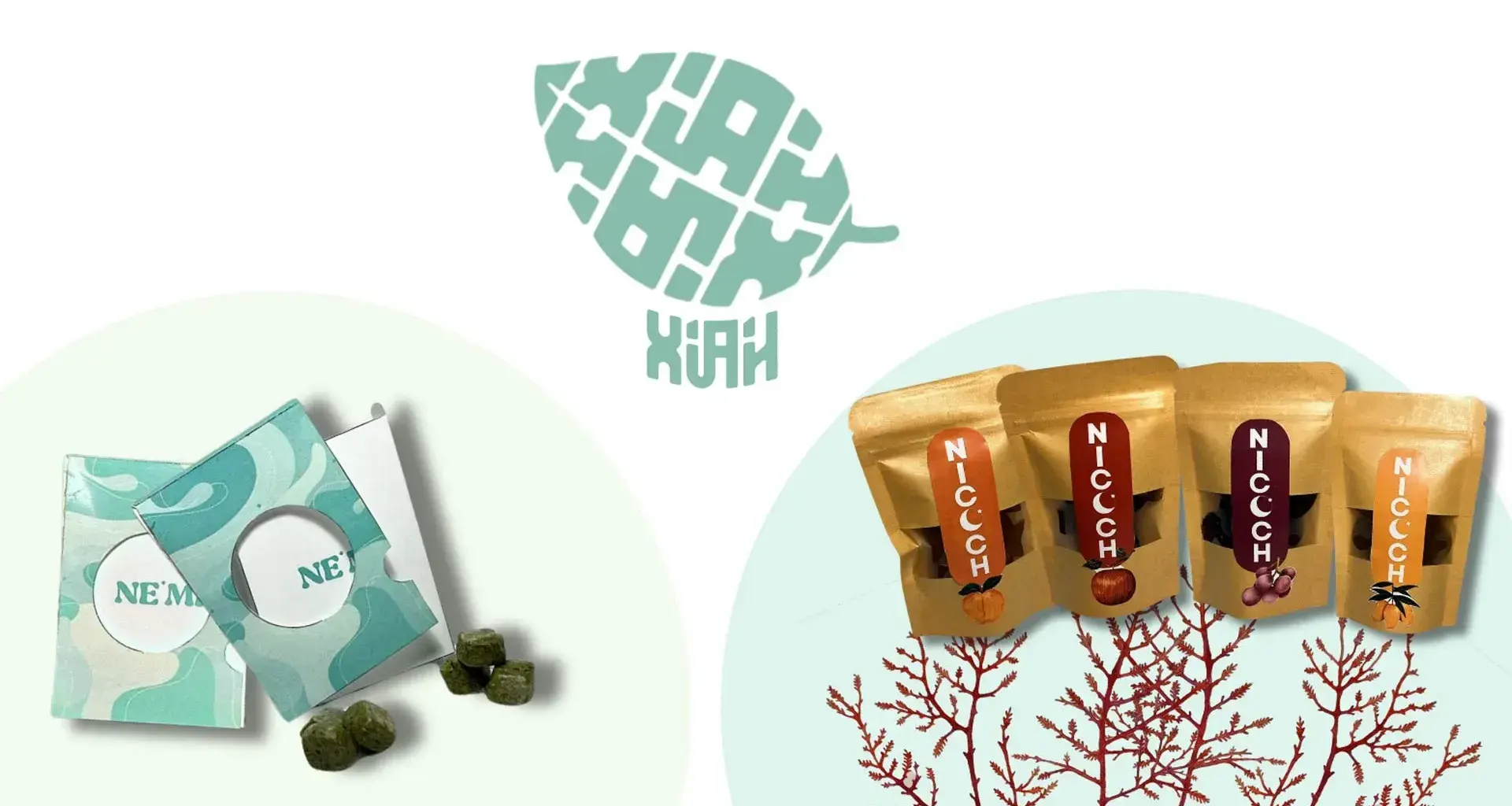 Chewing gum and gummies: Anti-stress alternative from Tec students